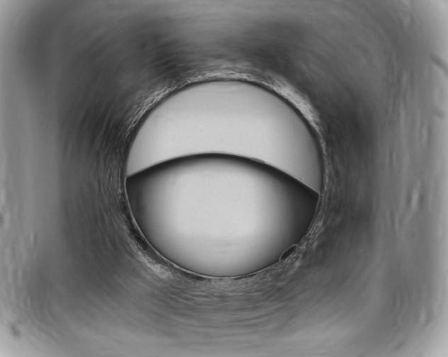 X0000097970009200803241029