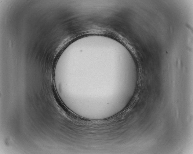 X0000097970011200803241029