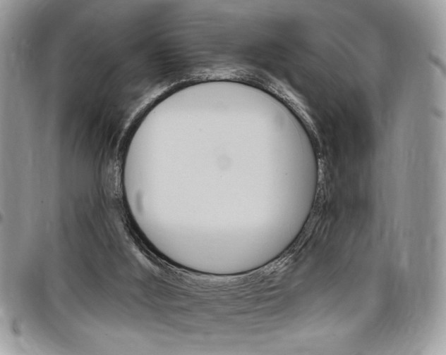 X0000097970012200803241029