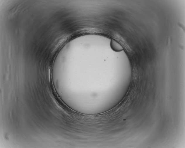 X0000097970014200803241029