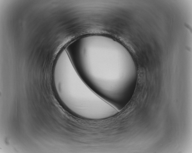 X0000097970015200803241029