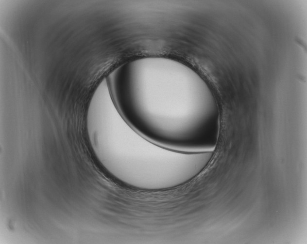 X0000097970017200803241029