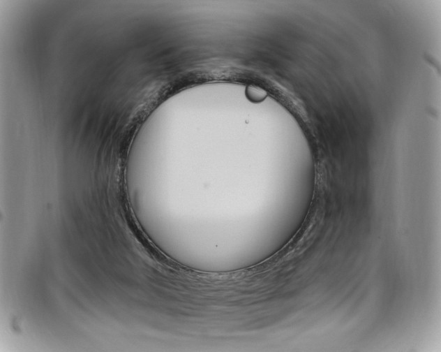 X0000097970018200803241029