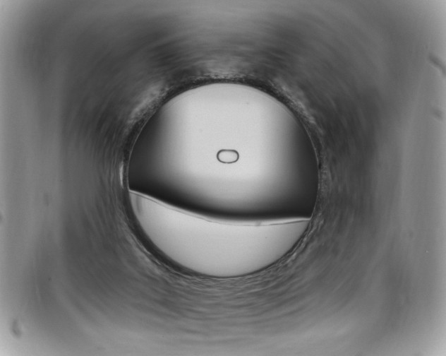 X0000097970019200803241029