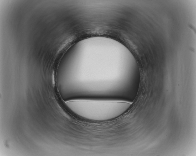 X0000097970020200803241029