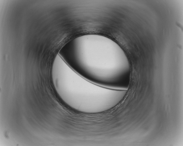 X0000097970021200803241029
