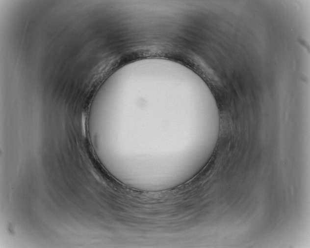 X0000097970022200803241029
