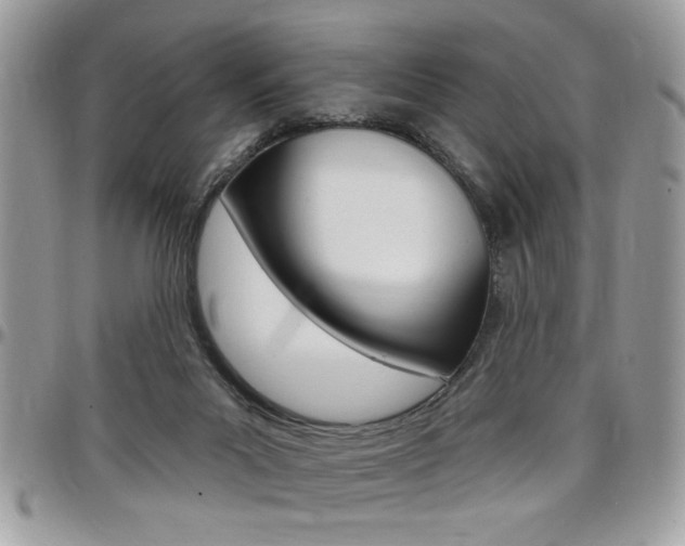 X0000097970023200803241029