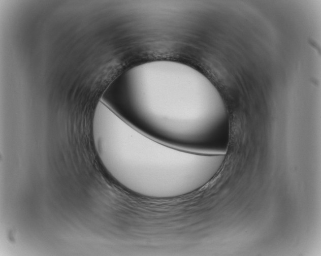 X0000097970025200803241029