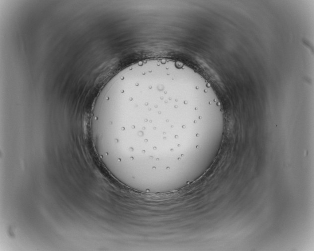 X0000097970026200803241029