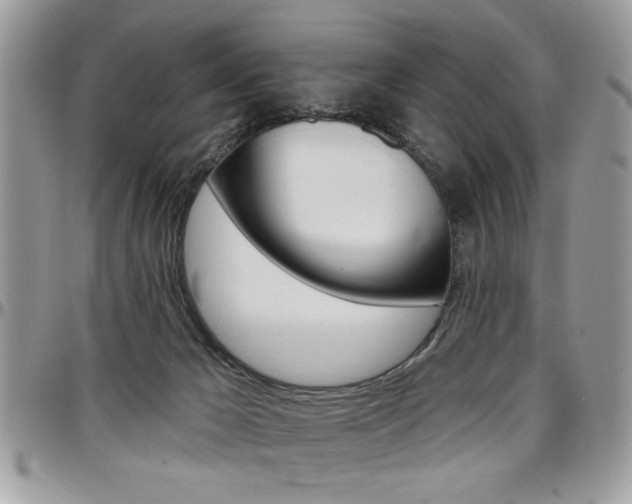 X0000097970029200803241029