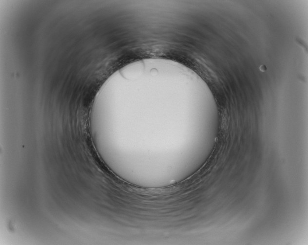 X0000097970030200803241029