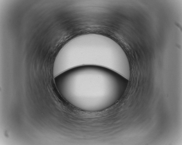 X0000097970031200803241029