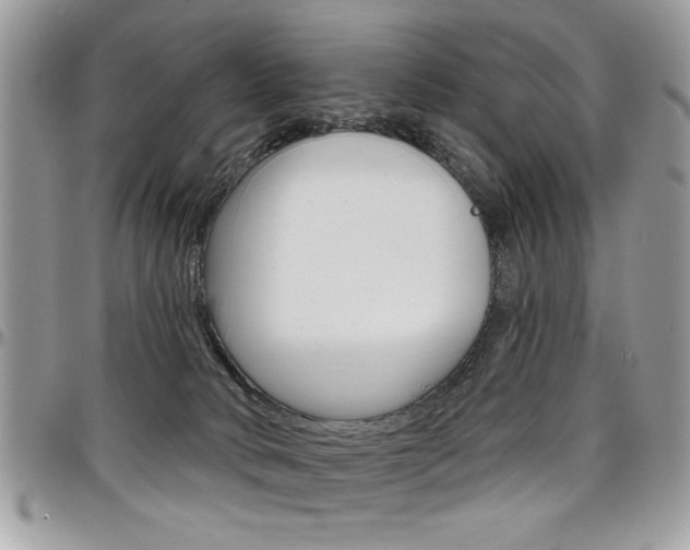 X0000097970034200803241029