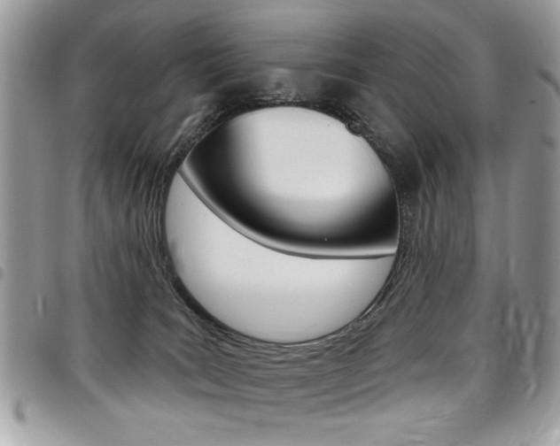 X0000097970035200803241029
