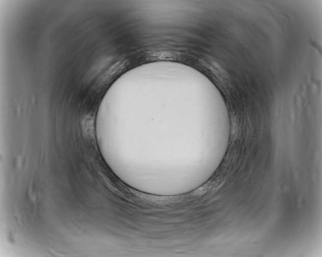 X0000097970036200803241029