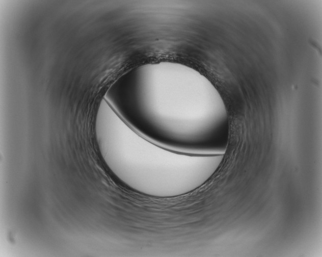 X0000097970039200803241029