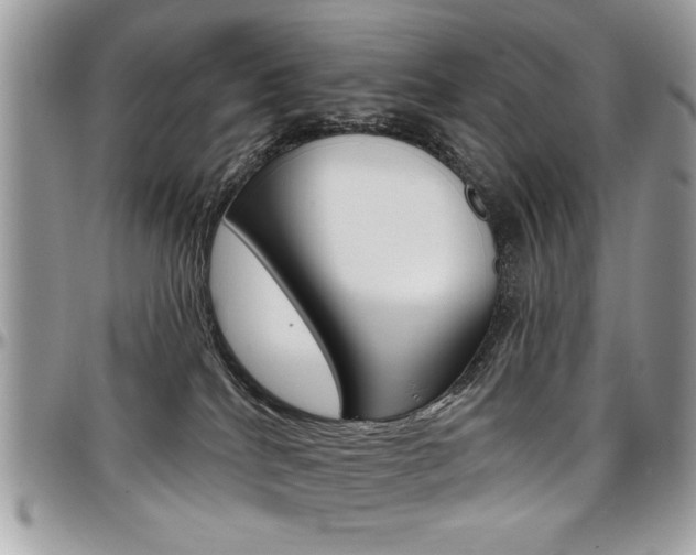 X0000097970040200803241029