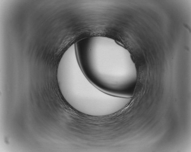 X0000097970041200803241029