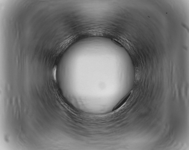 X0000097970047200803241029