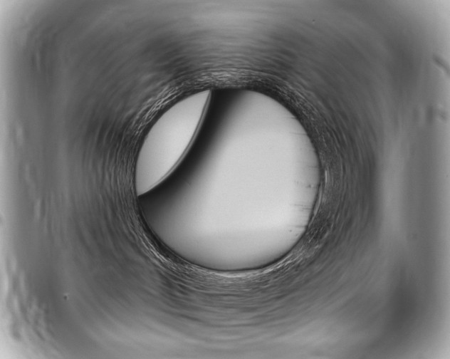 X0000097970048200803241029