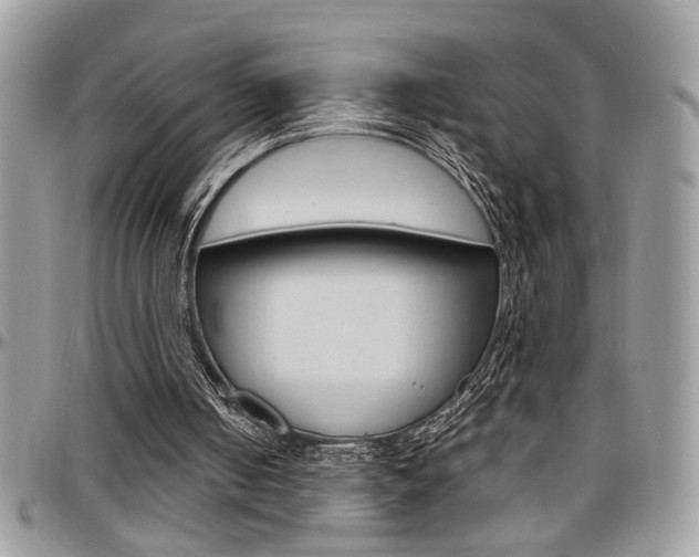 X0000097970050200803241028