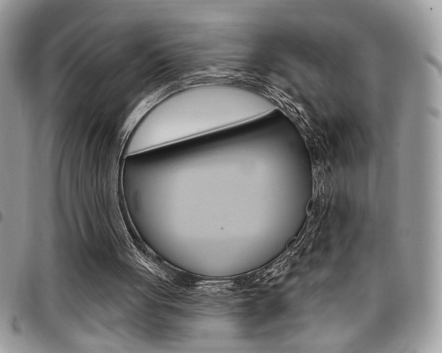 X0000097970051200803241028