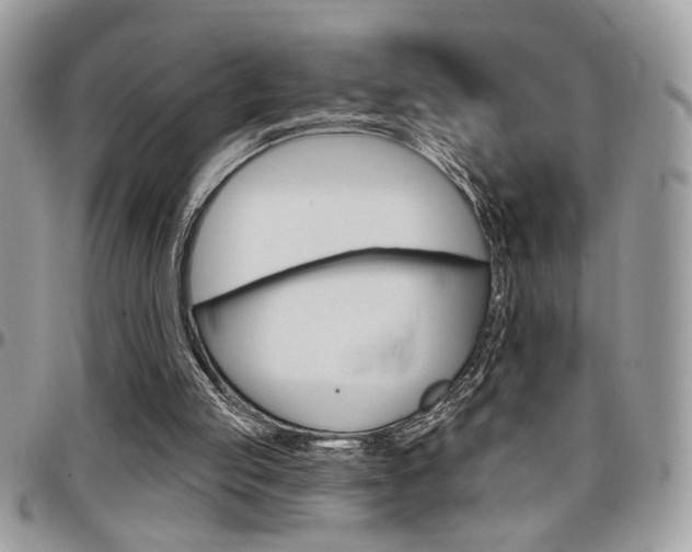 X0000097970053200803241028