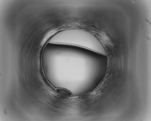 X0000097970054200803241028