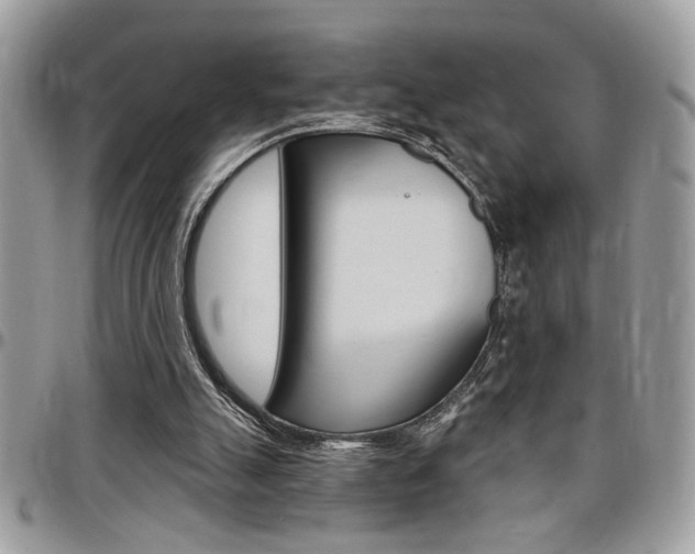 X0000097970055200803241028