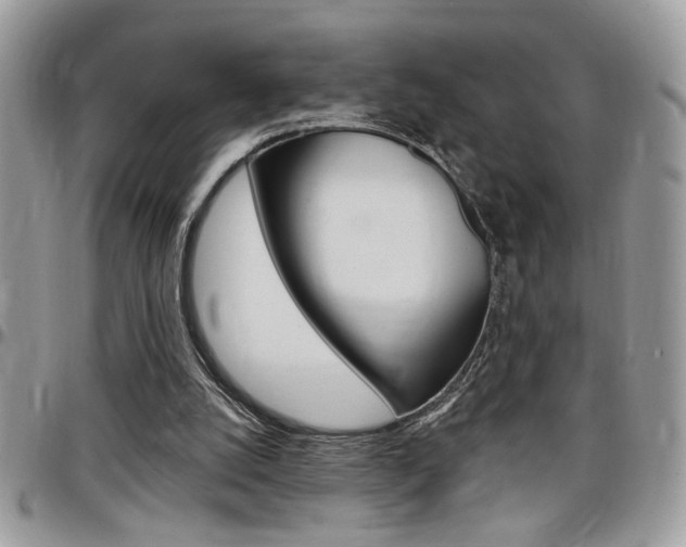 X0000097970056200803241028
