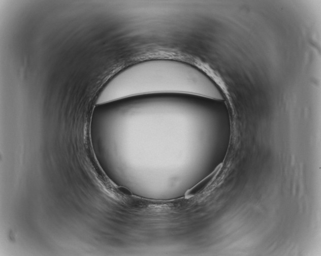 X0000097970057200803241028