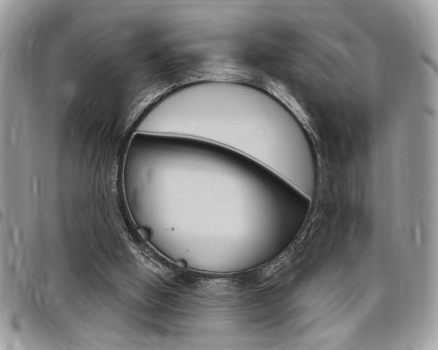 X0000097970058200803241028