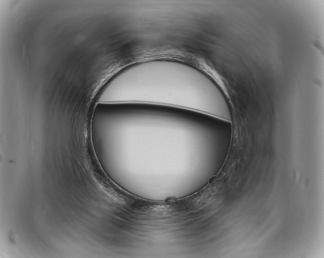 X0000097970059200803241028