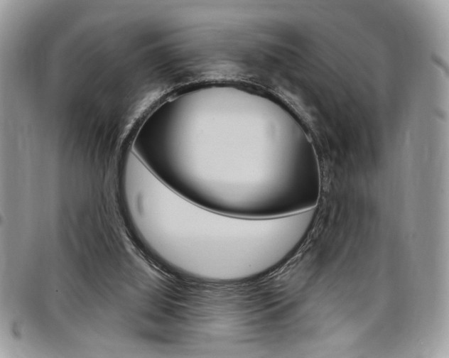 X0000097970060200803241028