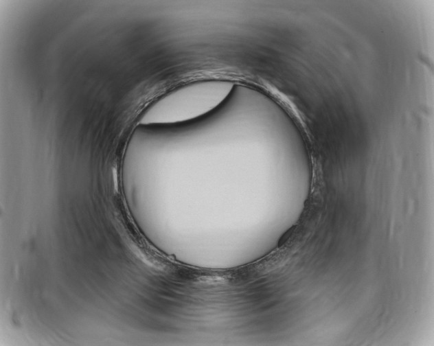 X0000097970061200803241028