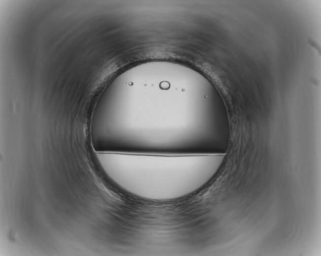 X0000097970063200803241028