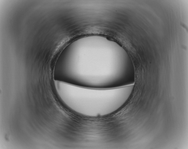 X0000097970064200803241028