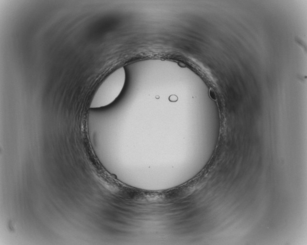 X0000097970065200803241028