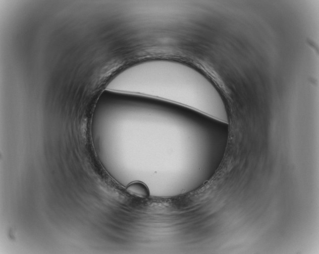 X0000097970066200803241028