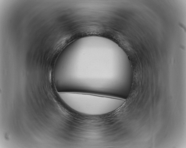X0000097970070200803241028