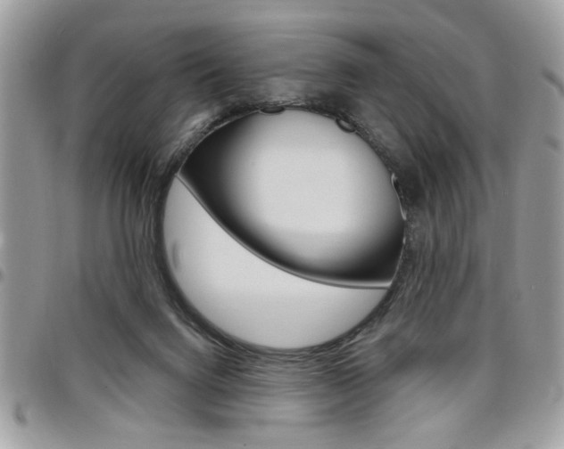 X0000097970072200803241028