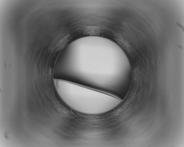 X0000097970073200803241028