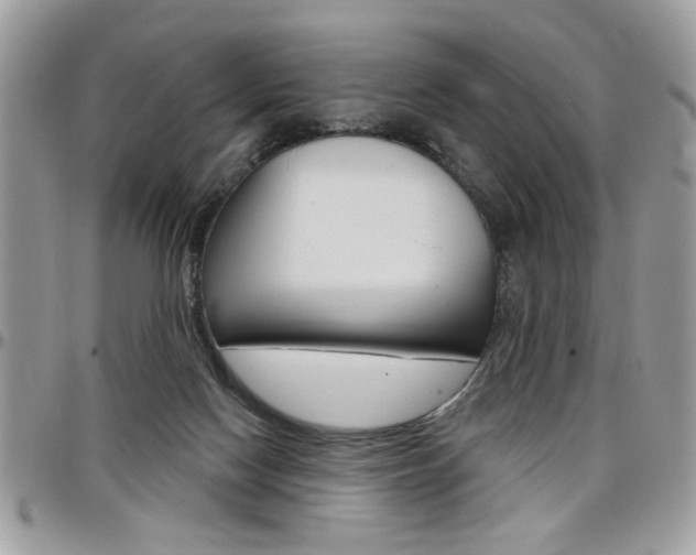 X0000097970074200803241029