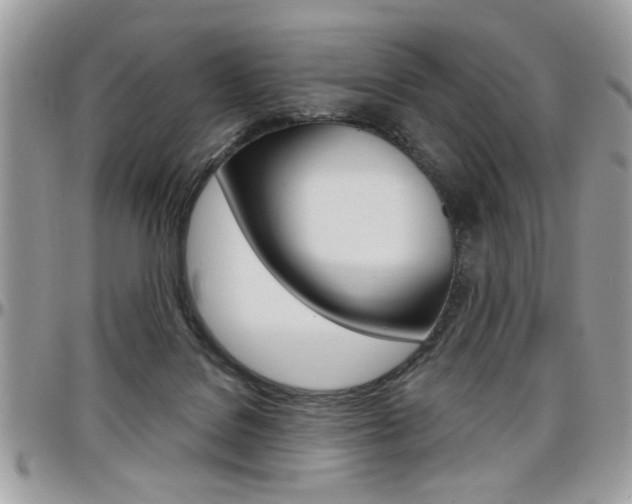 X0000097970076200803241029