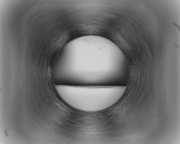 X0000097970077200803241029