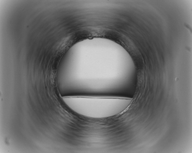 X0000097970078200803241029