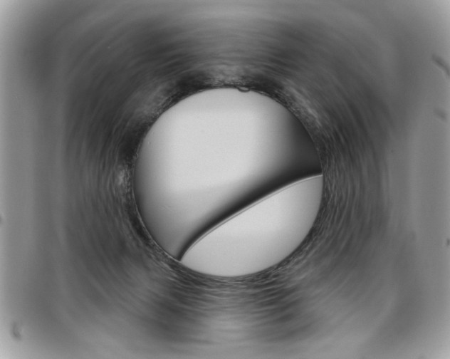 X0000097970079200803241029