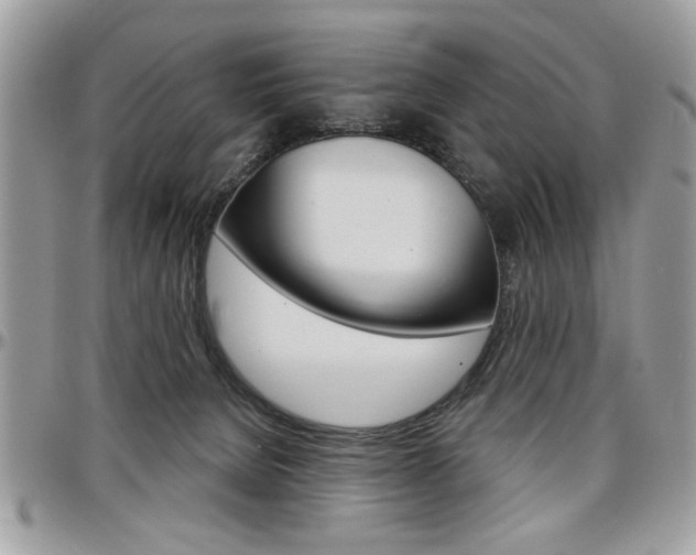 X0000097970080200803241029