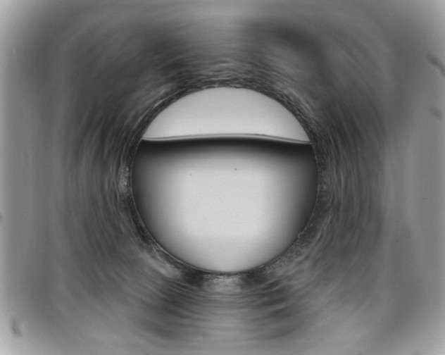 X0000097970081200803241029